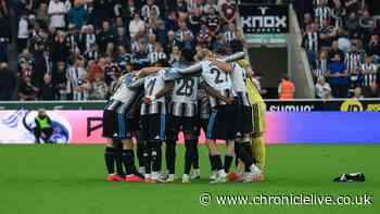 Newcastle United player ratings with new boy's perfect 10 and Woltemade concern in West Brom win