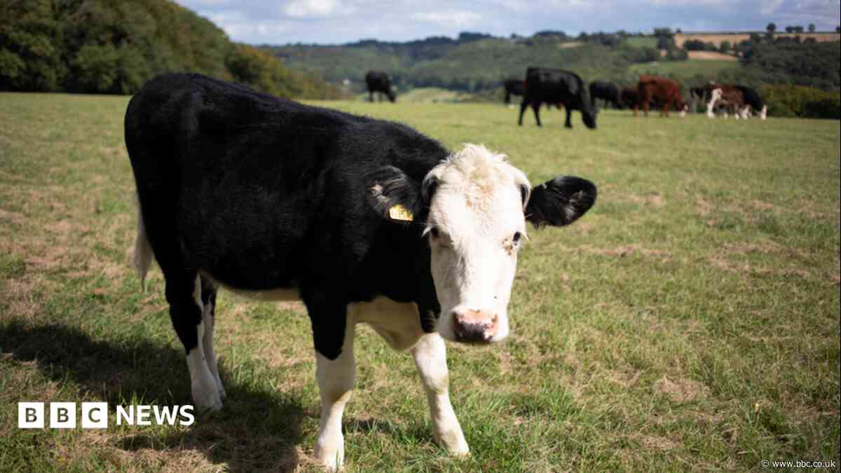 Gloucestershire records first deadly virus case