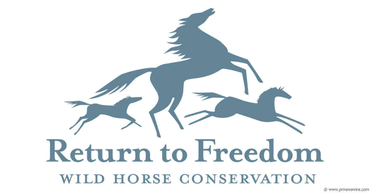 Return to Freedom Responds to New York Times Report on Wild Horses Sold to Slaughter