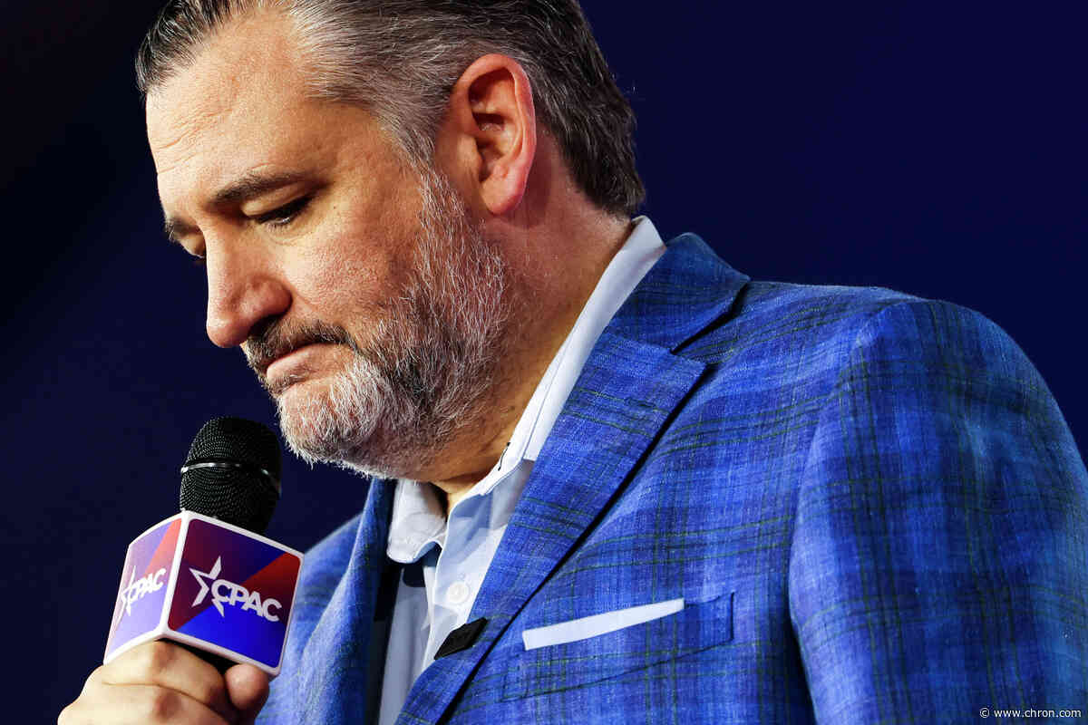 'The crazies are coming': Ted Cruz, Dan Patrick warn Texas GOP could fall