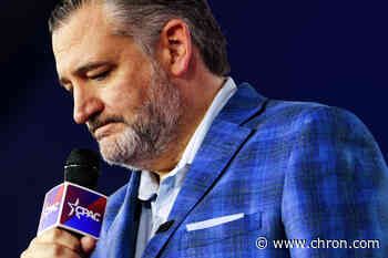 'The crazies are coming': Ted Cruz, Dan Patrick warn Texas GOP could fall