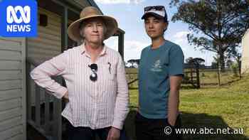 'Absolutely horrible': Nearby families kept awake by new Western Sydney airport