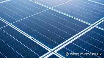 Households could save £110 a year with new DIY solar panels - the 8 things you should know