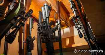 Former MP faces 26 new weapons charges amid firearms trafficking case
