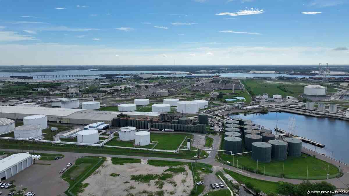 State cites Tampa wastewater plant for illegal discharges, violations and odors