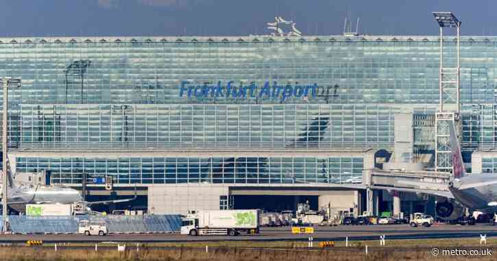 Two airport workers die after being bitten by ‘mosquito on a plane’