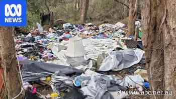 Residents furious at illegal dumping in native bushland near school