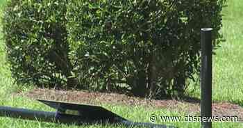 Residents of Savannah neighborhood surprised HOA installed Flock cameras
