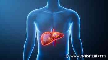 Warning over staggering five-fold surge in deadly liver disease that's 'underdiagnosed' - experts reveal red flags to watch out for