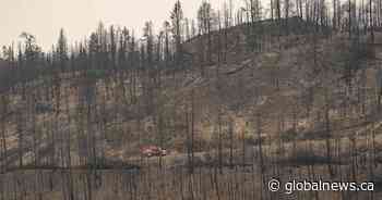 Questions raised about B.C.’s approach to prescribed burns ahead of wildfire season