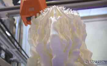 Edmond's 3-D Printing 'Guru'