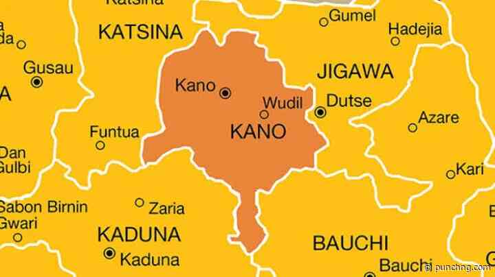Diphtheria outbreak: Kano appeals for vaccines after 50 deaths
