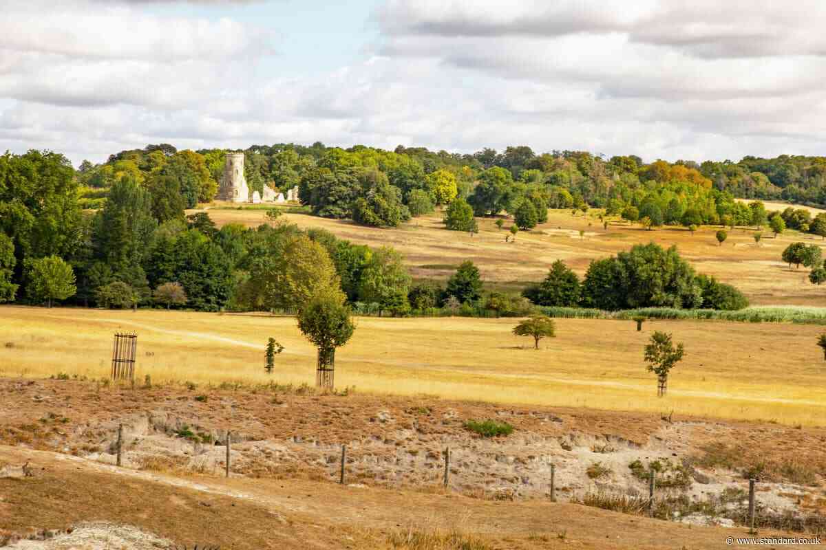 National Trust estate faces shortage of hay due to drought conditions