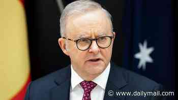 Anthony Albanese to slash annual refugee intake - as it promises not to change UK backpacker rule