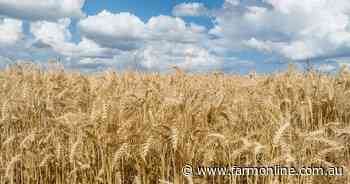 War drives wheat prices through the roof: what history says you should do next