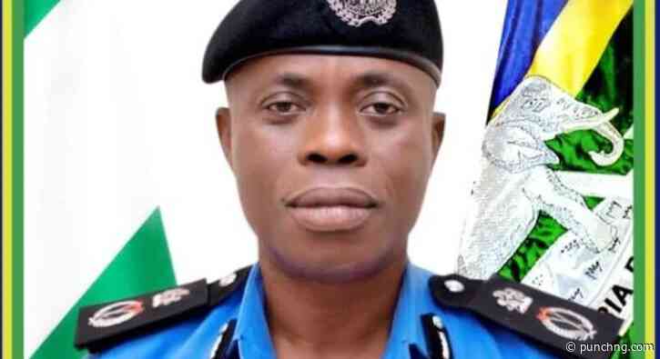 Ogun community decries suspected land grabbers’ invasion, farmland destruction