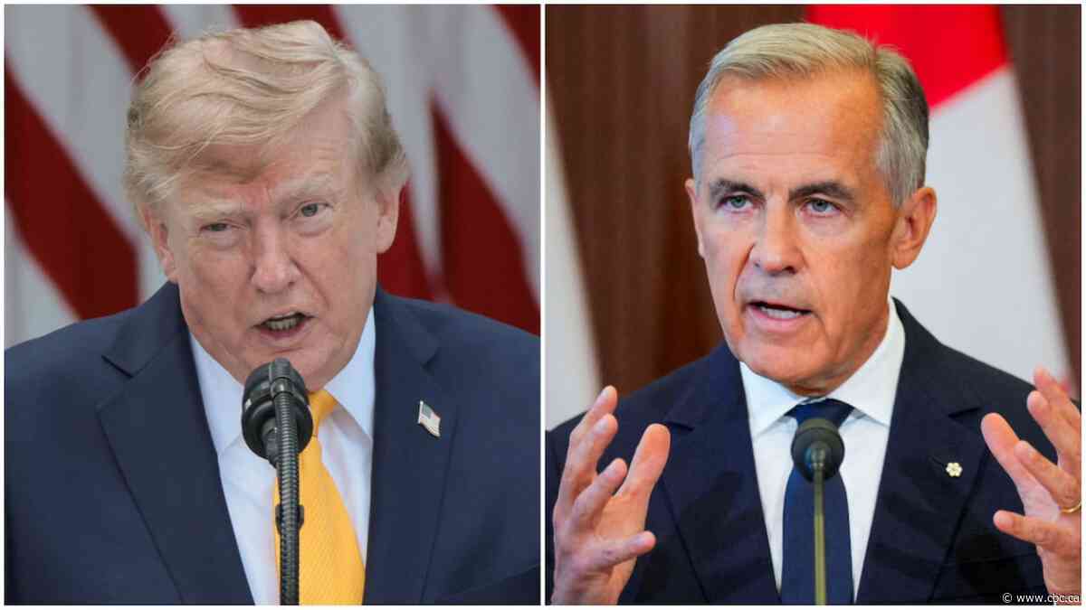 Dealing with U.S. 'like having a national root canal for the last two years': Sarnia, Ont., mayor