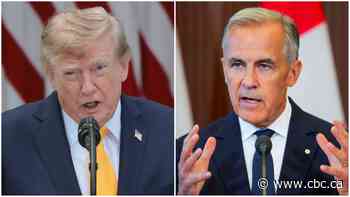 Dealing with U.S. 'like having a national root canal for the last two years': Sarnia, Ont., mayor