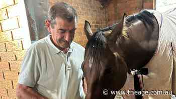 Trainer encouraged to back bargain buy for the big time