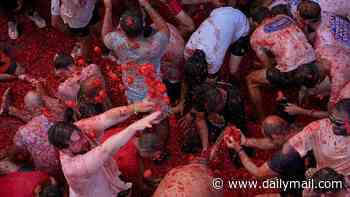 Paint the town red! Thousands take over Spanish village for the La Tomatina food fight