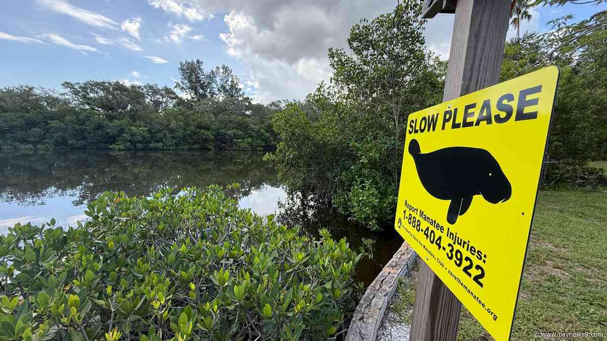 Manatee protection zone advances in Clearwater estuary