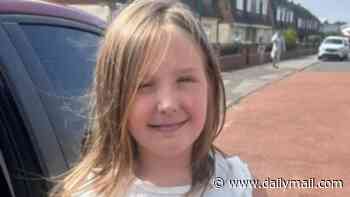 Middlesbrough 'risks descending into carnage' after 'gangland revenge house fire murder' of seven-year-old girl and her aunt 'linked to A66 crash that killed five youths and two police officers'