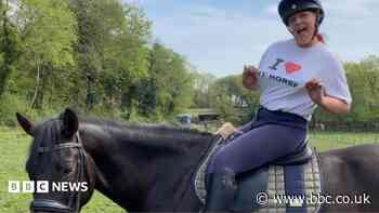 Facebook seller mis-sold me a horse that kicked my daughter in the head