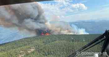 Wildfire north of Castlegar grows to 250 hectares