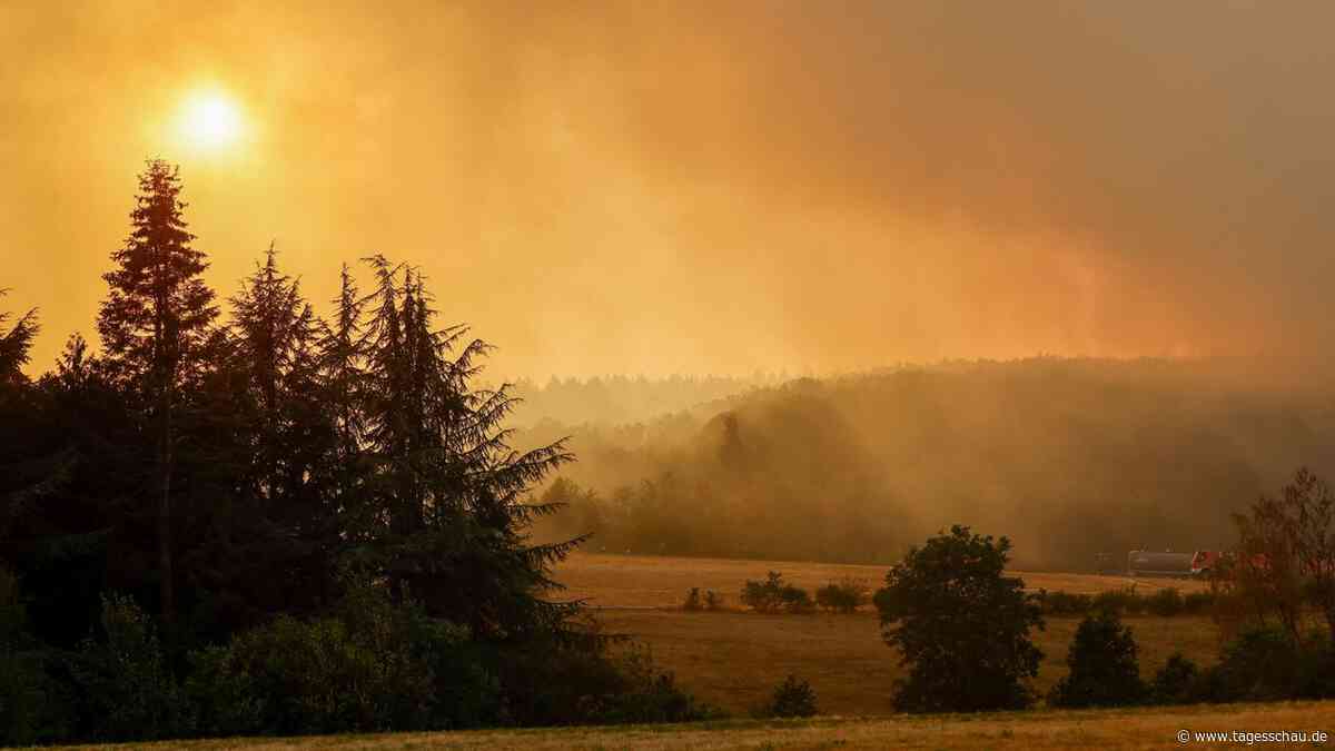 Wie Waldbrände künftig mit weniger Wasser bekämpft werden können