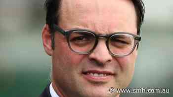 Freedmans load up for spring with promising Gun Runner colt