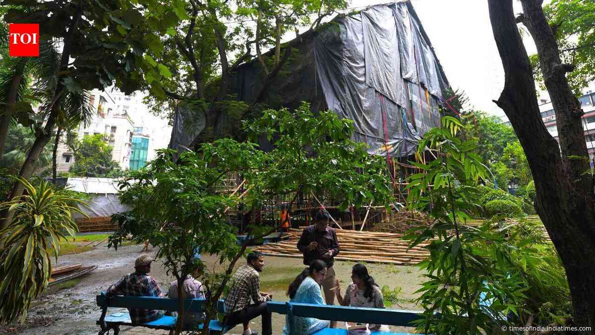 Allen Park to host Park Street’s first Durga Puja this year