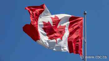 Winnipeg councillor urges businesses to fly the Canadian flag