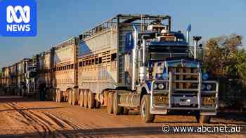 Remote truckers back on the road after safety concerns