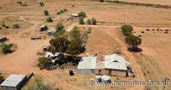 Low-rainfall grazing property near Orroroo in SA sells for $615 per acre