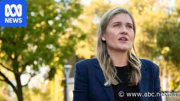 Greens MP seeks apology for 'horrific slur', threatens to sue Nationals rival