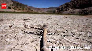 COP17: New global architecture for drought resilience launched at UNCCD meet