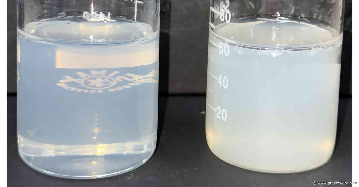 Shinsung Materials Strengthens Competitiveness in the Functional Cosmetics Market with Differentiated Ingredient Technologies
