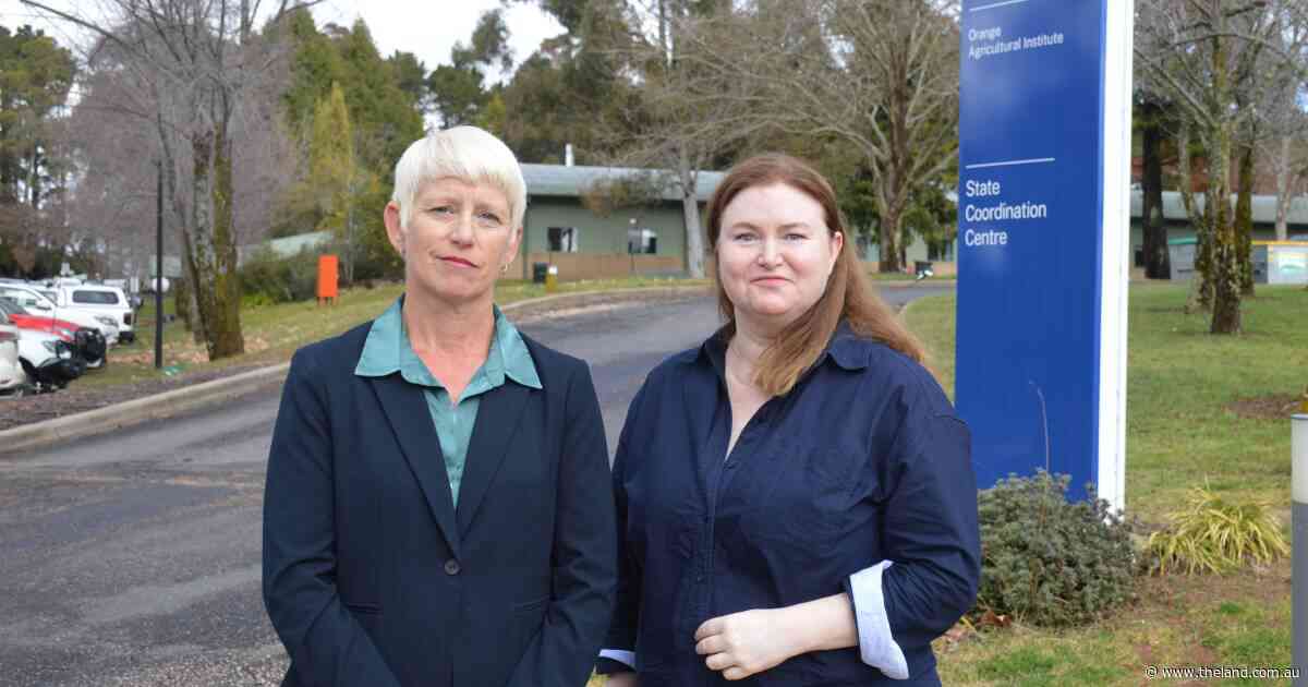 Water, shelter, feed: how to protect home chooks from the H5 bird flu threat