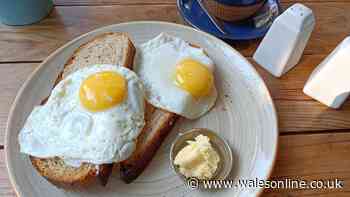 'Perfect' fried eggs with crispy edges in 1 minute — no frying pan needed