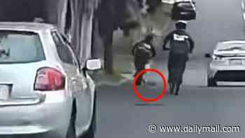 Despicable moment teenage e-bike rider crashes into a koala and rides away: 'Bring back national service'