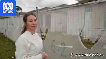 'Devastating blow' as Bathla Group seeks $20m to keep building for five weeks