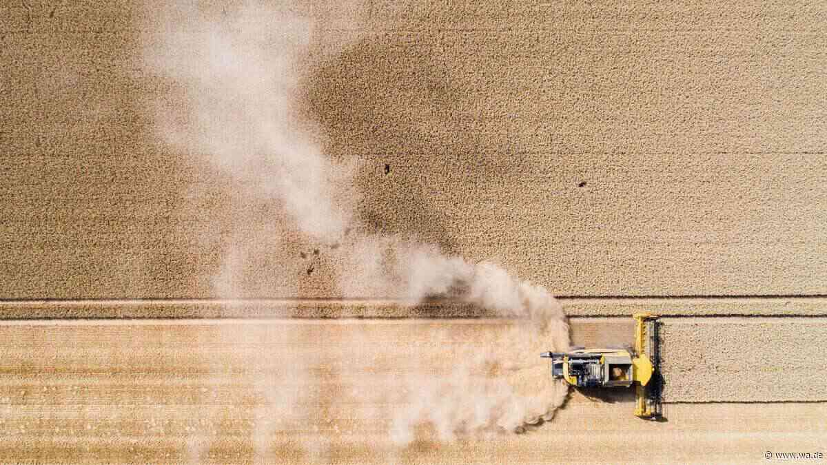 Landwirt rechnet mit 30 Prozent Ernteausfällen – und bekommt weniger Geld