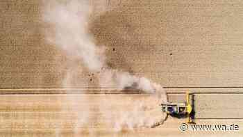 Landwirt rechnet mit 30 Prozent Ernteausfällen – und bekommt weniger Geld