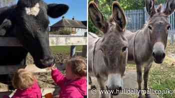 Free-to-visit community farm in Hull ‘immensely proud’ to be shortlisted for BBC Make a Difference Awards