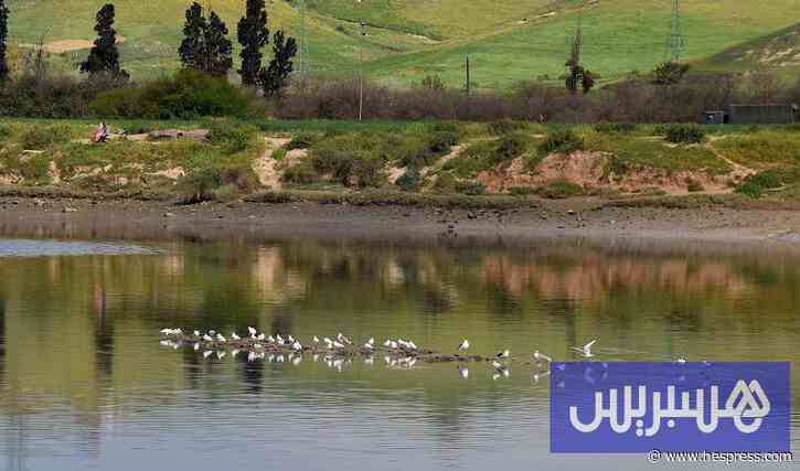 "يوم البحيرات" يسائل وضع المغرب