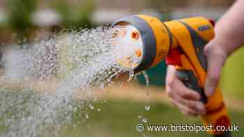 Bristol Water hosepipe ban: What you can and can't do