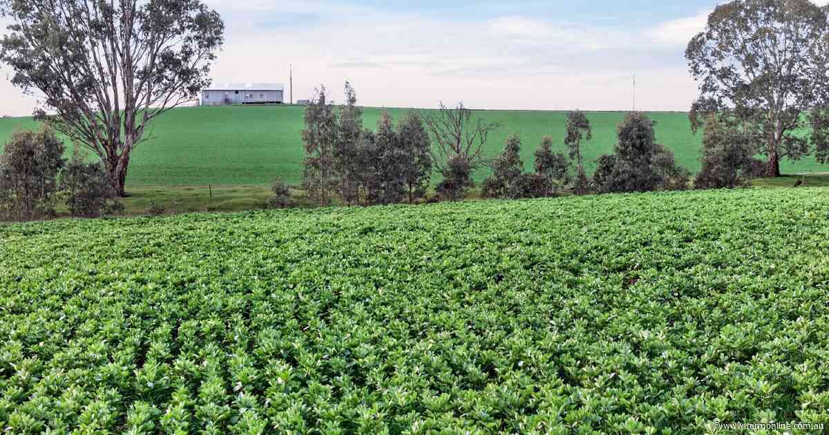 Vater family lists 1104ha SA portfolio for October public auction