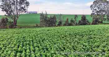Vater family lists 1104ha SA portfolio for October public auction