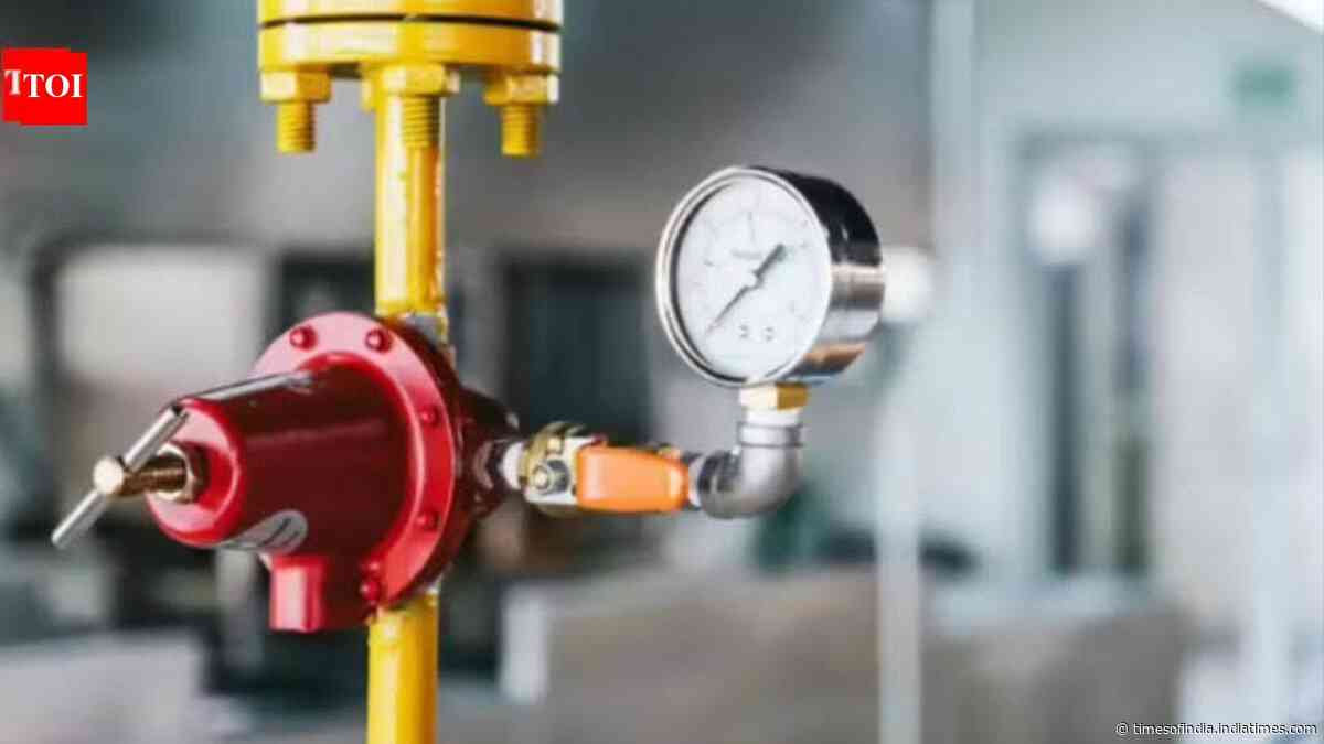 Only 20% LPG consumers applied for PNG connections