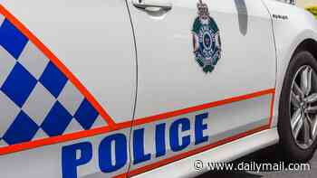 Wild police chase as shots fired from allegedly stolen vehicle
